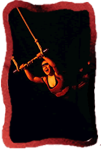 Swingende trapeze