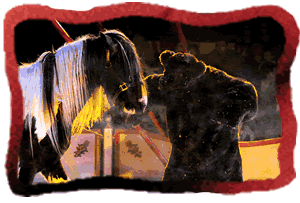 Dieren